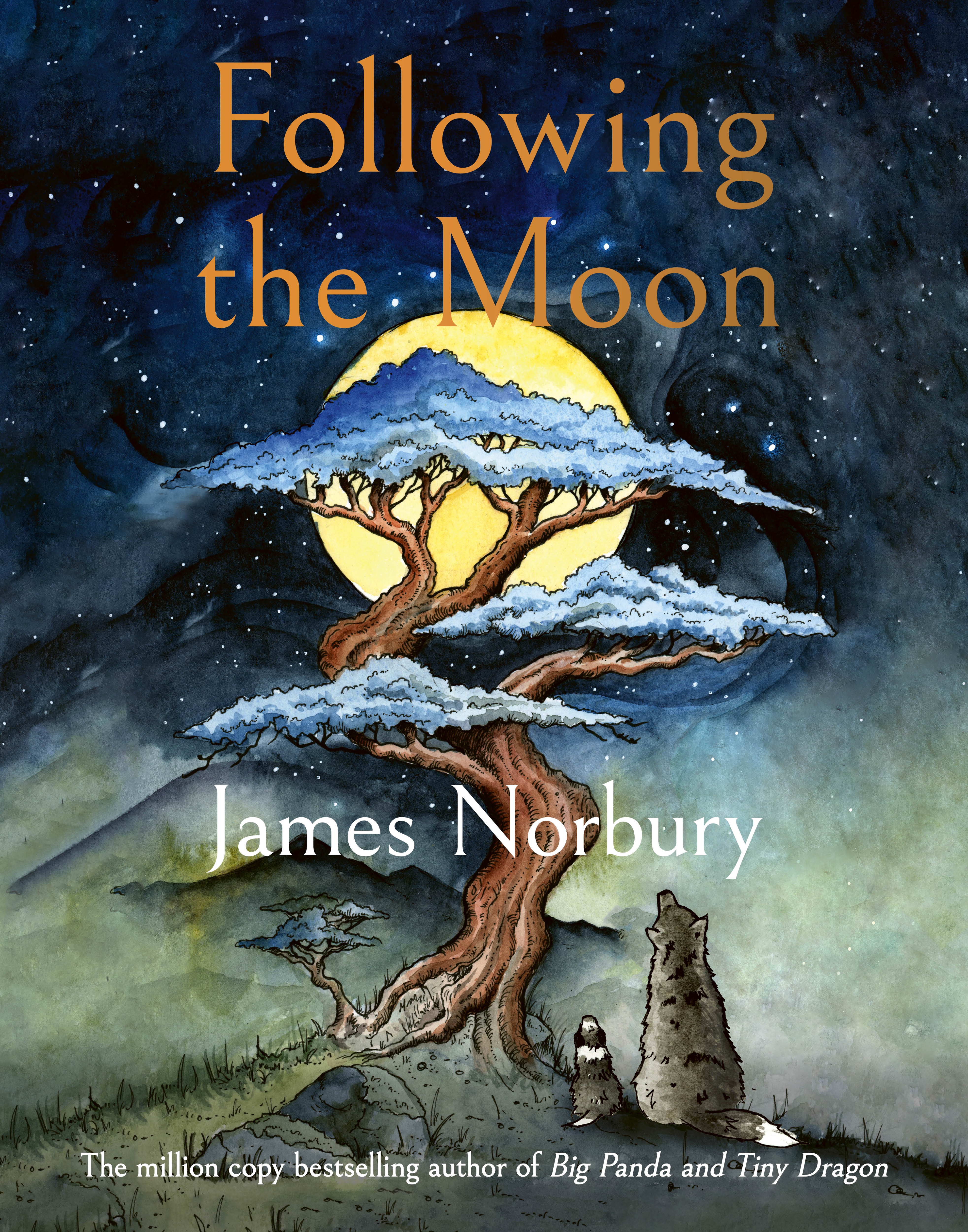 Following the Moon by Norbury, James | Penguin Random House South